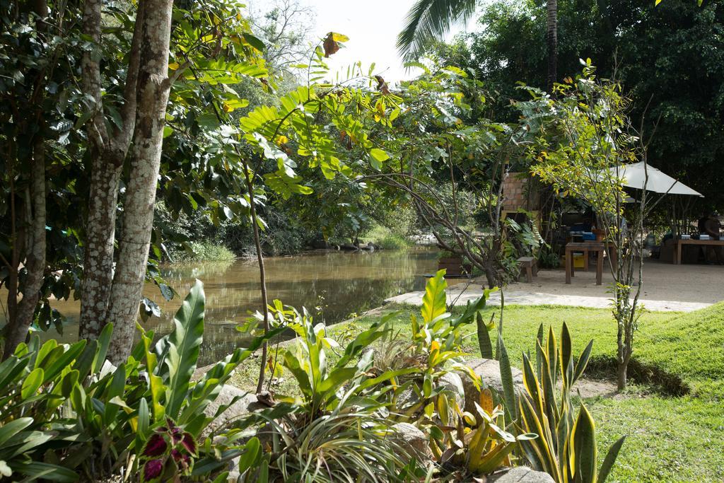 Villa Azalea Inn & Organic Farm JALISCO Εξωτερικό φωτογραφία