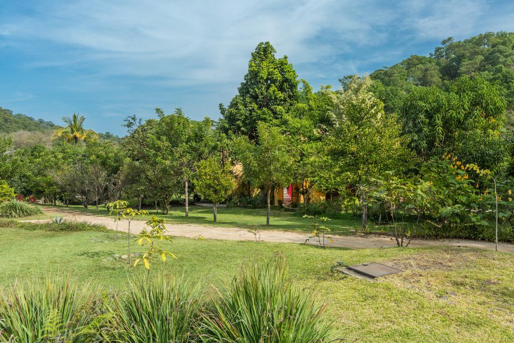 Villa Azalea Inn & Organic Farm JALISCO Εξωτερικό φωτογραφία