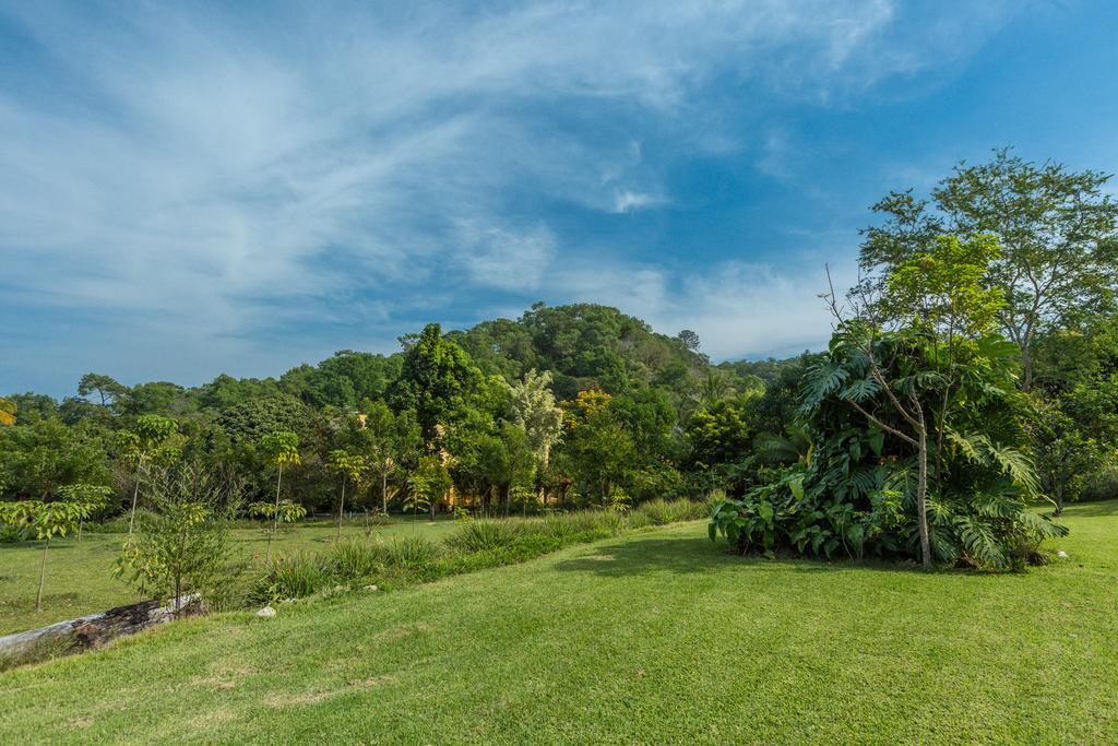 Villa Azalea Inn & Organic Farm JALISCO Εξωτερικό φωτογραφία