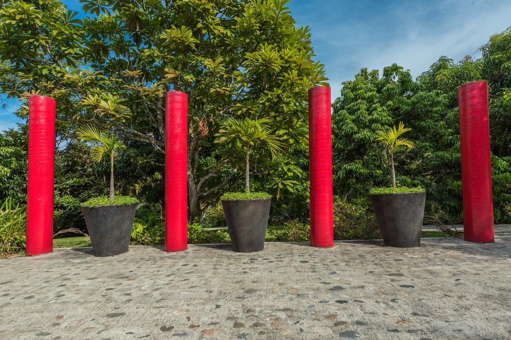 Villa Azalea Inn & Organic Farm JALISCO Εξωτερικό φωτογραφία