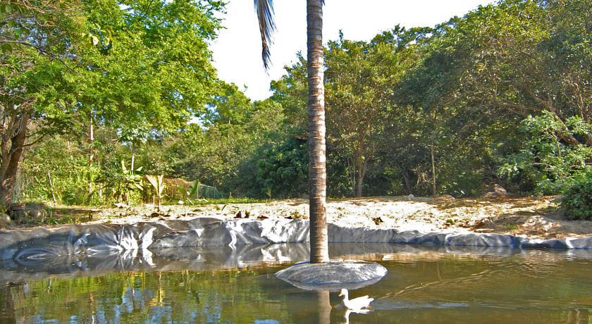 Villa Azalea Inn & Organic Farm JALISCO Εξωτερικό φωτογραφία